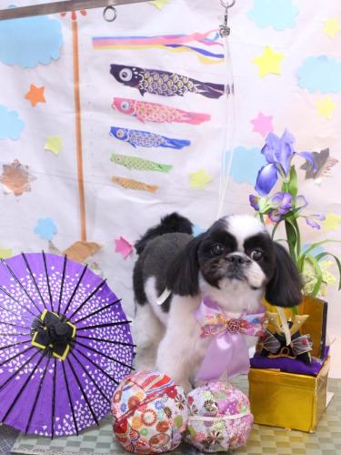 20240524たいがくん